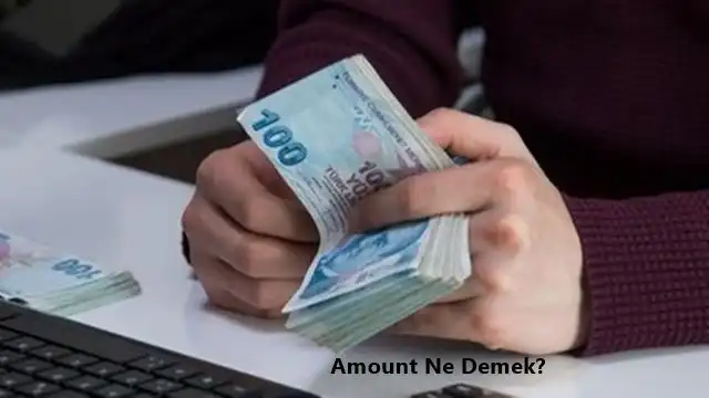 Amount Nedir, Amount  Ne Demek? Amount Ne Anlama Gelir?